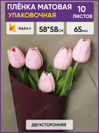 Пленка матовая 58смх58см 10 листов 65мкм РЦ двухцветная баклажан/капучино