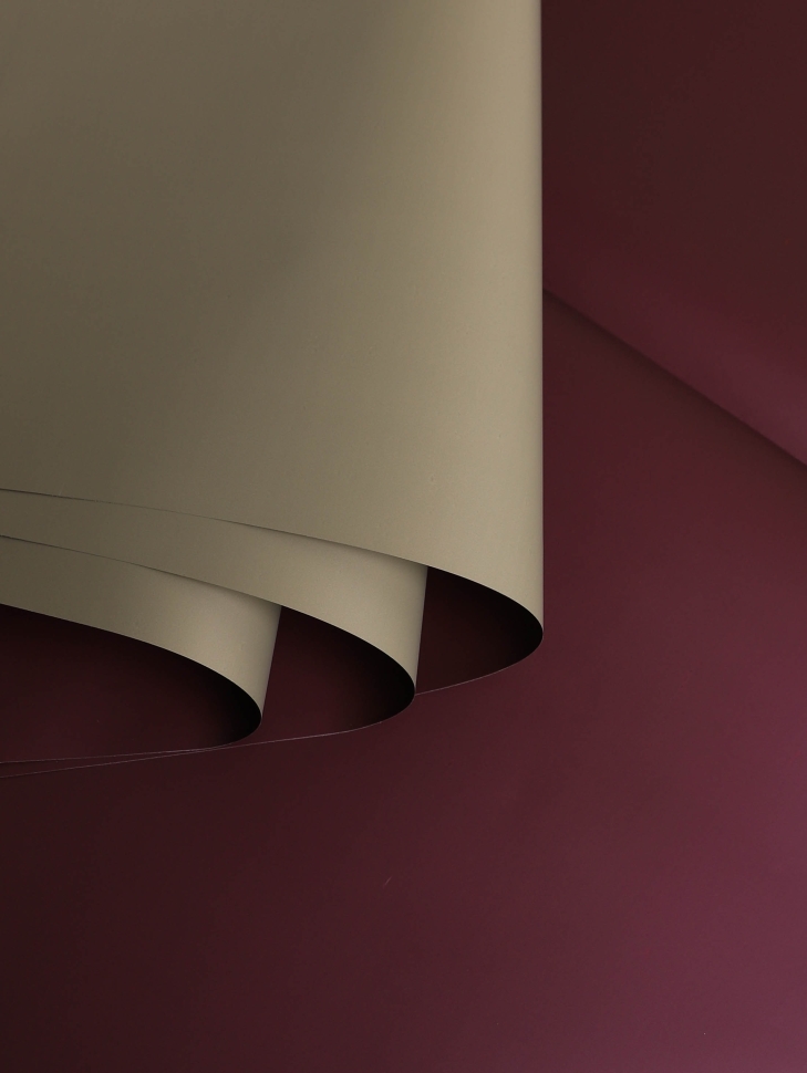 Пленка матовая 58смх58см 10 листов 65мкм РЦ двухцветная баклажан/капучино