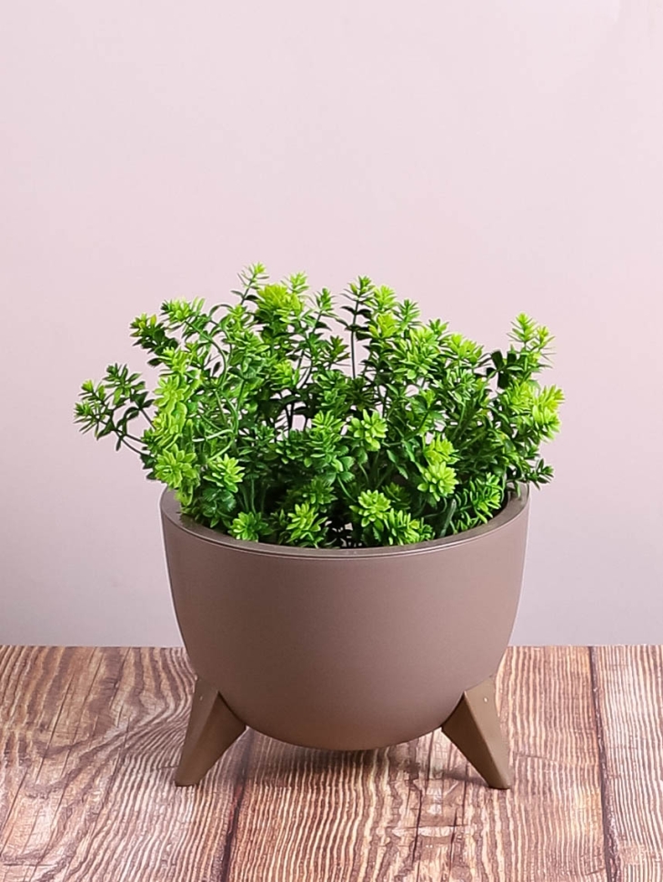 Кашпо из пластика "Грация" 2л. h14см,d20 мокачино Кашпо из пластика "Грация" 2л. h14см,d20 мокачино