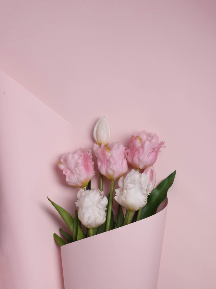 Пленка матовая 50мкм 58см х 10м Флора розовый светлый Пленка матовая 50мкм 58см х 10м Флора розовый светлый