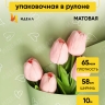 Пленка матовая 65мкм 58см х 10м РЦ сердечки фисташковый Пленка матовая 65мкм 58см х 10м РЦ сердечки фисташковый