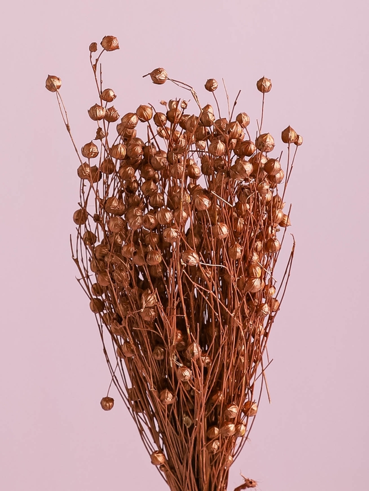 Лен-долгунец 55см 50гр бронза