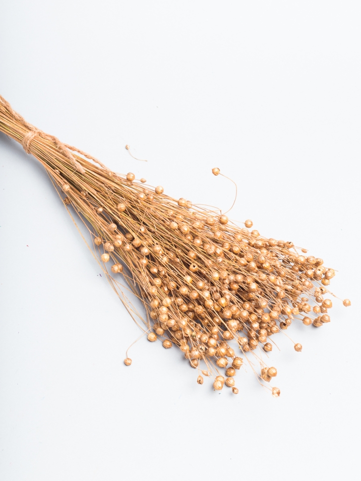 Лен-долгунец 55см 50гр бронза