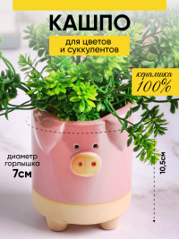 Кашпо керамика 8х10,5см D7827-2 поросенок