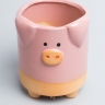 Кашпо керамика 8х10,5см D7827-2 поросенок