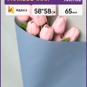 Пленка матовая 58смх58см 10 листов 65мкм РЦ двухцветная серо-голубой/фисташковый Пленка матовая 58смх58см 10 листов 65мкм РЦ двухцветная серо-голубой/фисташковый
