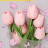 Пленка матовая 60см x 10м Мотыльки розовый Пленка матовая 60см x 10м Мотыльки розовый