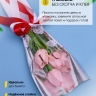 Пакет цветочный Рукав 14х40 на 1цветок Роза розовый 10 шт Пакет цветочный Рукав 14х40 на 1цветок Роза розовый 10 шт