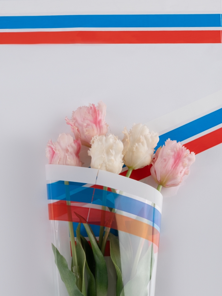 Пленка цветная Кант 3-хцветный 70см микс