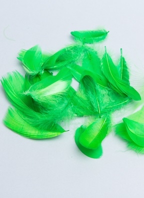 Перья цветные  9см 12гр, П салатовый