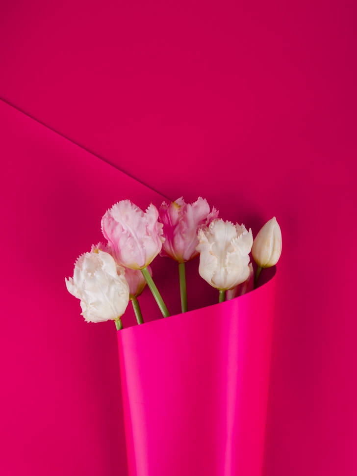 Пленка матовая  Пастель 58см х 10м на втулке, малиновый К