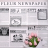 Пленка матовая 58смх58см 20 листов Newspaper белый Пленка матовая 58смх58см 20 листов Newspaper белый