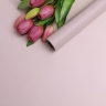Пленка матовая 55мкм 58см х 10м Romantic слоновая кость