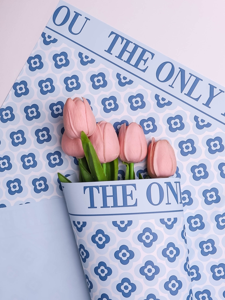 Пленка матовая 57смх57см 20 листов 60мкм Четырехлистник голубой Пленка матовая 57смх57см 20 листов 60мкм Четырехлистник голубой