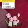 Пленка матовая 65мкм 58см х 10м двухцветная вишня/бордо Пленка матовая 65мкм 58см х 10м двухцветная вишня/бордо