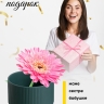 Кашпо керамика 13,5х13,5х11см 20Y1197 зеленый темный Кашпо керамика 13,5х13,5х11см 20Y1197 зеленый темный