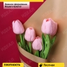 Пленка матовая 65мкм 58см х 10м РЦ трио золото на бордовом/золото Пленка матовая 65мкм 58см х 10м РЦ трио золото на бордовом/золото