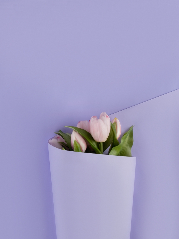 Пленка матовая  Пастель 58см х 10м на втулке, глициния