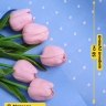Пленка матовая 60мкм 58см х 10м РЦ горошек белый на синем Пленка матовая 60мкм 58см х 10м РЦ горошек белый на синем