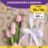 Бумага крафт 40г/м2, 70см x 10м, Ключик к сердцу зеленый Бумага крафт 40г/м2, 70см x 10м, Ключик к сердцу зеленый