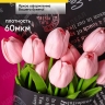 Пленка матовая 60мкм 58см х 10м РЦ 2-х сторонняя Compliment черный/винный Пленка матовая 60мкм 58см х 10м РЦ 2-х сторонняя Compliment черный/винный