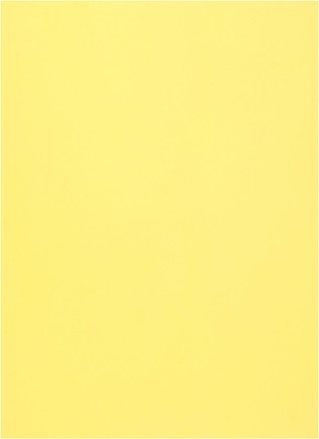 Фоамиран 60х70см 0,8мм 1лист. желтый 005-112 Фоамиран 60х70см 0,8мм 1лист. желтый 005-112