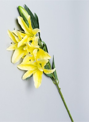 ИЦ Лилия 77см АРИЧЧА К. 4 голов+ 2 бутона желтый