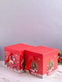 Коробка НГ квадрат 22х22х22 см GYH22627-69 микс