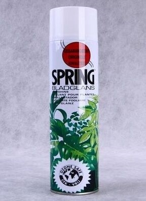 Спрей Блеск SPR 600мл Спрей Блеск SPR 600мл