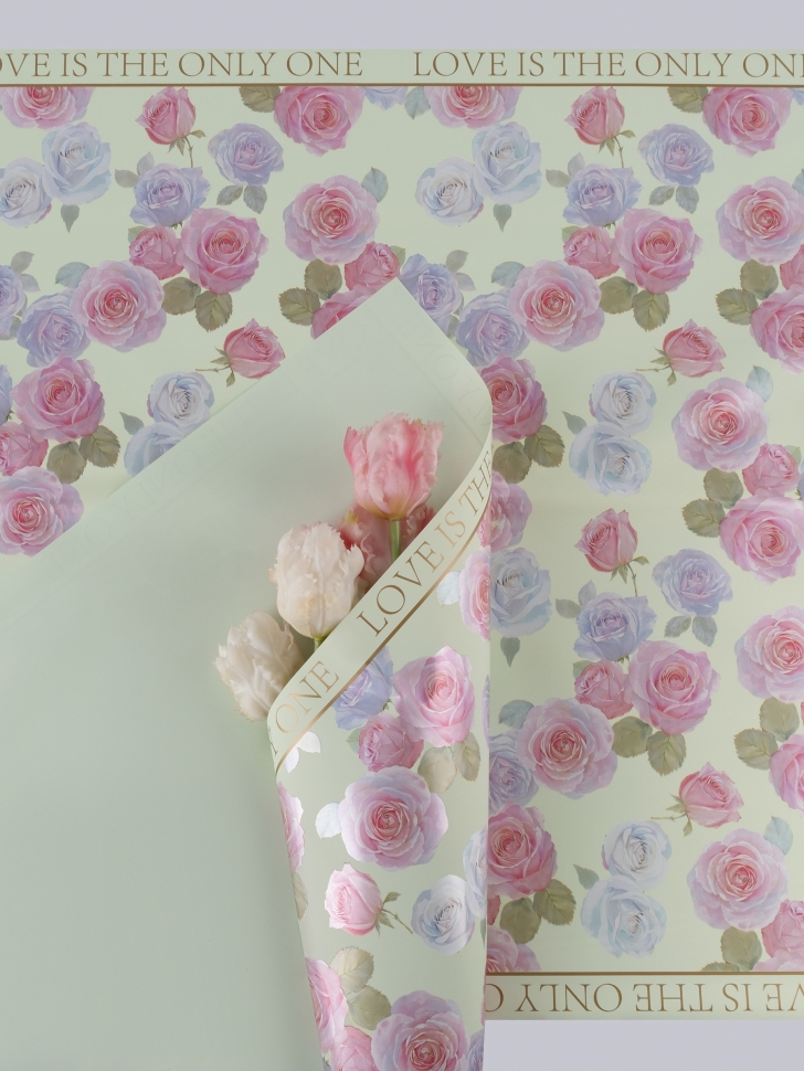 Пленка матовая 58смх58см 20 листов 65мкм Розы мятный