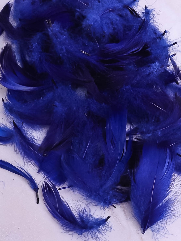 Перья цветные 9см 12гр, П синий Перья цветные 9см 12гр, П синий