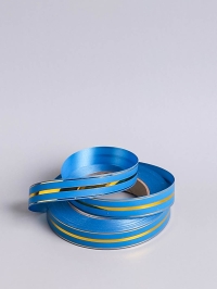 Лента золотая полоса 2/50 РД синяя