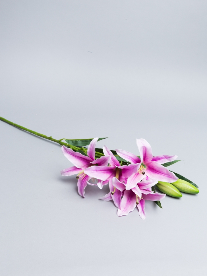 ИЦ Лилия 77см АРИЧЧА К. 4 голов+ 2 бутона сиреневый