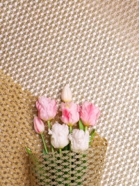 Сетка Ажурный мир 48 х 5ярд золото