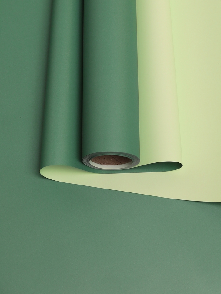 Пленка матовая 65мкм 58см х 10м двухцветная зеленый/фисташковый Пленка матовая 65мкм 58см х 10м двухцветная зеленый/фисташковый