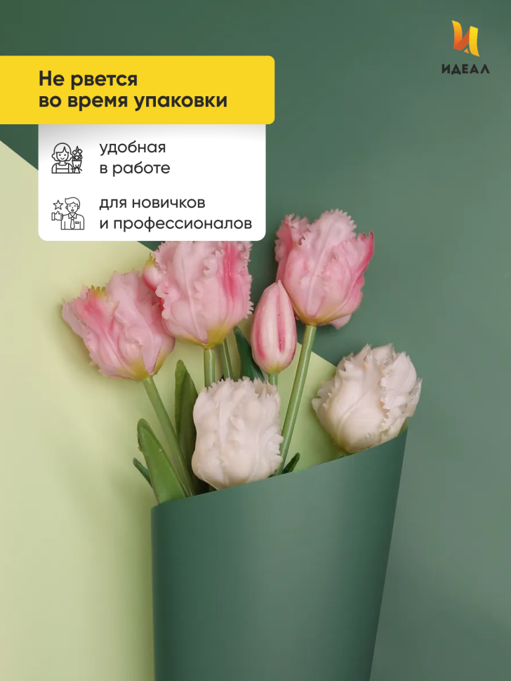 Пленка матовая 65мкм 58см х 10м двухцветная зеленый/фисташковый Пленка матовая 65мкм 58см х 10м двухцветная зеленый/фисташковый