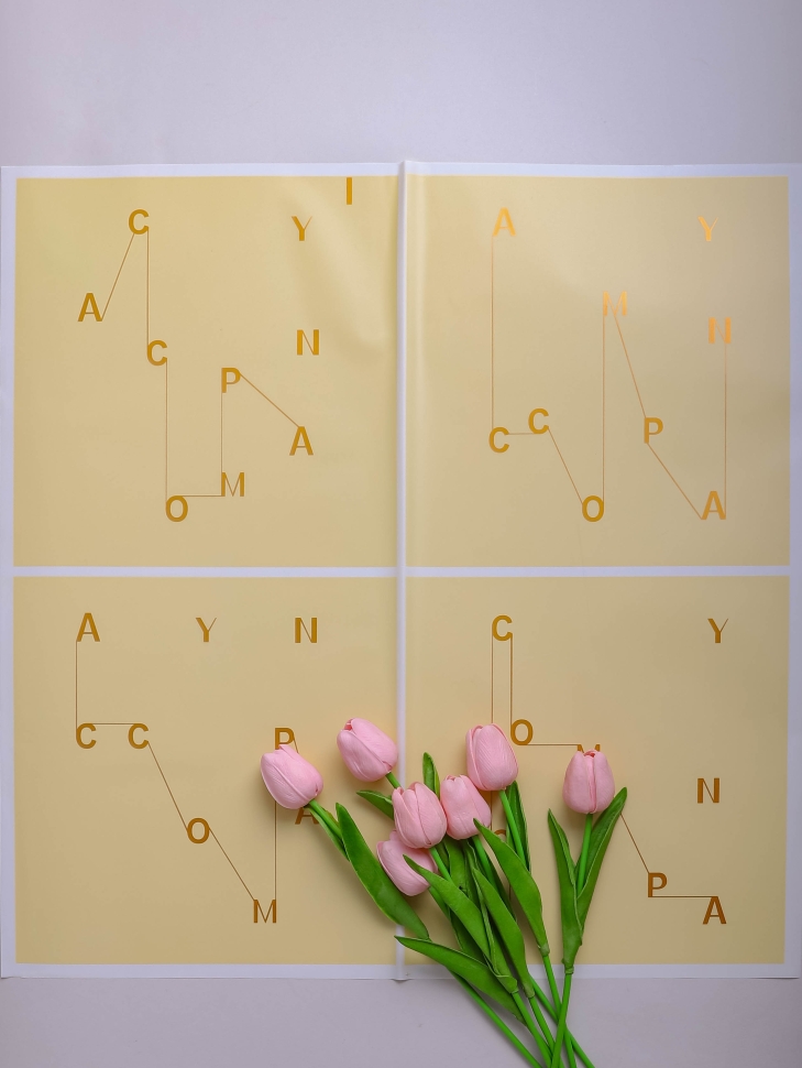 Пленка матовая 58смх58см 20 листов буквы песочный Пленка матовая 58смх58см 20 листов буквы песочный