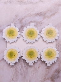 Прищепка  6шт. Хризантема 4х3,5см