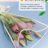Пакет цветочный Конус 28/40/11 Стиль белый 50 шт Пакет цветочный Конус 28/40/11 Стиль белый 50 шт
