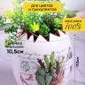 Кашпо керамика 15х17,5см 180105L кактусы красный Кашпо керамика 15х17,5см 180105L кактусы красный