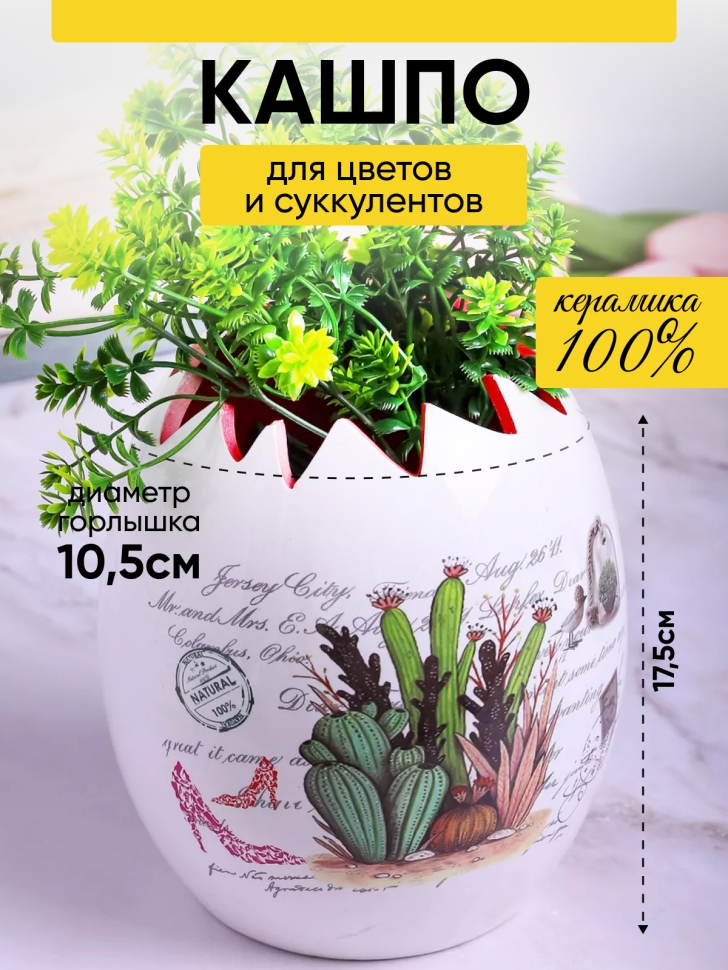 Кашпо керамика 15х17,5см 180105L кактусы красный Кашпо керамика 15х17,5см 180105L кактусы красный