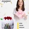 Кашпо керамика 15х17,5см 180105L кактусы красный Кашпо керамика 15х17,5см 180105L кактусы красный