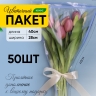 Пакет цветочный Конус 28/40/11 Стиль лаванда 50 шт Пакет цветочный Конус 28/40/11 Стиль лаванда 50 шт