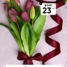 Лента атласная 20мм х 25ярд JD вишневый Лента атласная 20мм х 25ярд JD вишневый