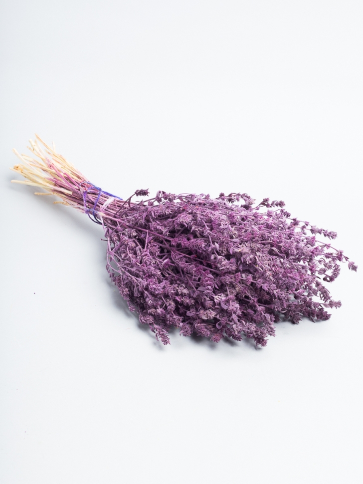 Шандра стабилизированная 40 см 90гр сливовый Шандра стабилизированная 40 см 90гр сливовый