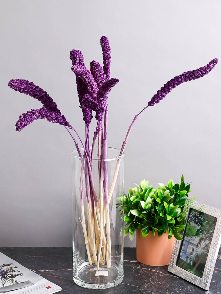 ИЦ Сетария 10шт 60см К фиолетовый ИЦ Сетария 10шт 60см К фиолетовый