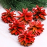 Шишки сосновые север, 5-6см 6шт. красные Шишки сосновые север, 5-6см 6шт. красные