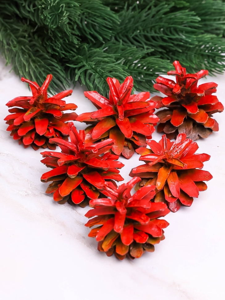 Шишки сосновые север, 5-6см 6шт. красные Шишки сосновые север, 5-6см 6шт. красные