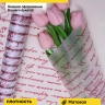 Пленка матовая Муза 70см x 10м бордо Пленка матовая Муза 70см x 10м бордо