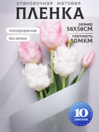 Пленка матовая 58смх58см 10 листов 50мкм кант 13 серебро